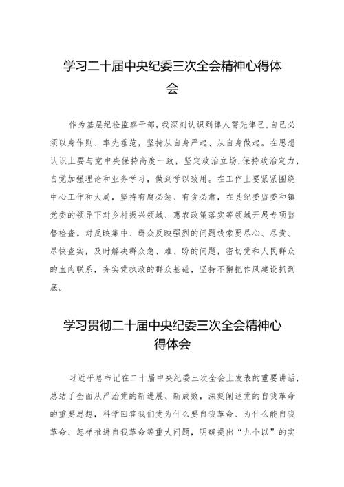 纪检监察干部学习二十中央纪委三次全会精神心得体会二十篇.docx