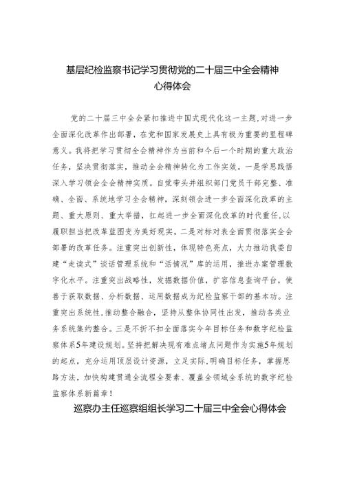 （9篇）基层纪检监察书记学习贯彻党的二十三中全会精神心得体会（详细版）.docx