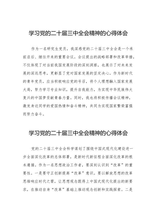 学习贯彻2024年二十三中全会精神心得感悟交流发言32篇.docx