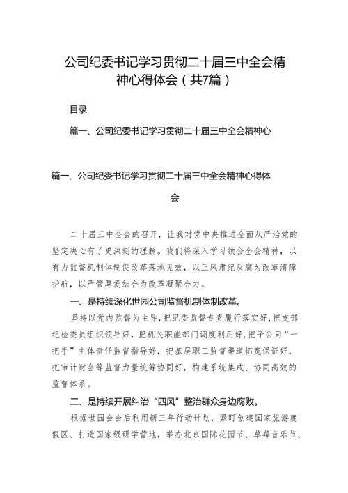 公司纪委书记学习贯彻二十三中全会精神心得体会7篇（最新版）.docx