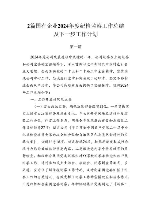 2篇国有企业2024纪检监察工作总结及下一步工作计划.docx