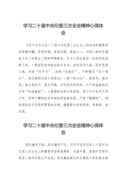 纪检部门学习贯彻二十中央纪委三次全会精神的心得体会二十篇.docx