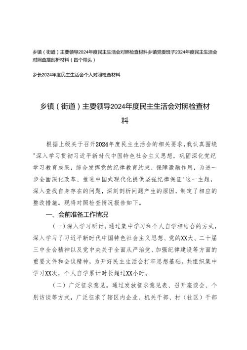 乡长、乡镇党委班子、乡镇（街道）主要领导2024-2025年度民主生活会对照检查材料.docx
