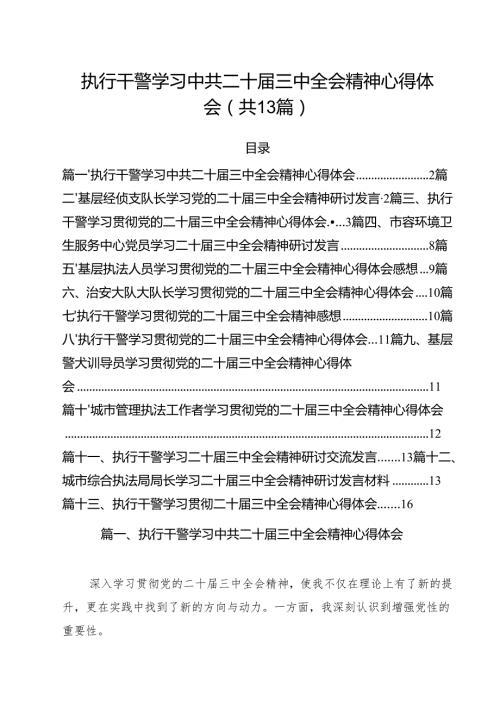 执行干警学习中共二十三中全会精神心得体会（共13篇）.docx