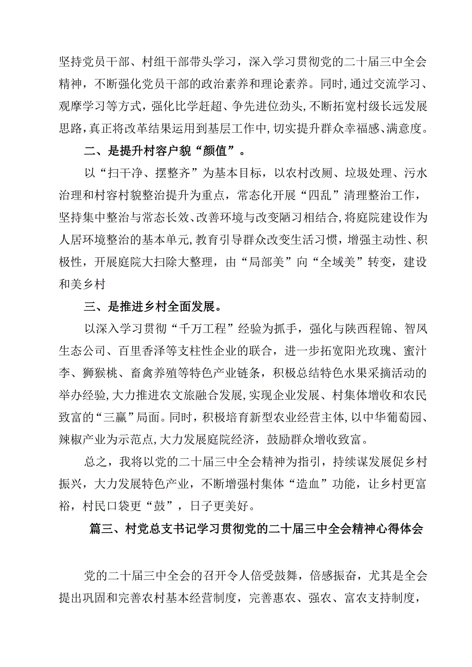 （7篇）农村党支部书记学习二十三中全会精神心得体会研讨发言（最新版）.docx_第3页
