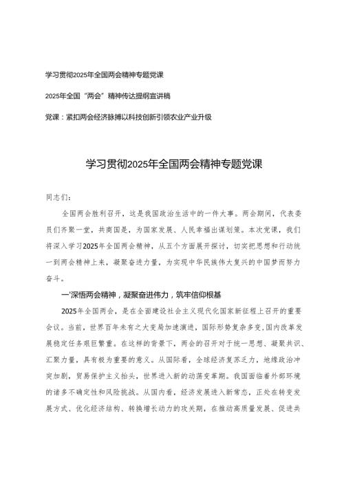 2025年党支总书记学习“两会”精神传达提纲宣讲稿全国两会精神专题党课.docx