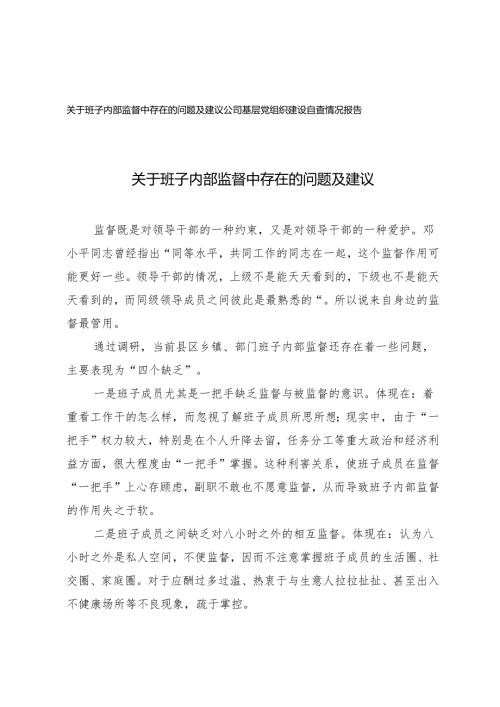 2025年关于班子内部监督中存在的问题及建议+公司基层党组织建设自查情况报告.docx