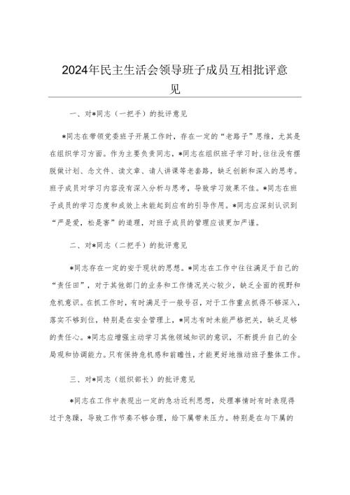 2024年民主生活会领导班子成员互相批评意见.docx