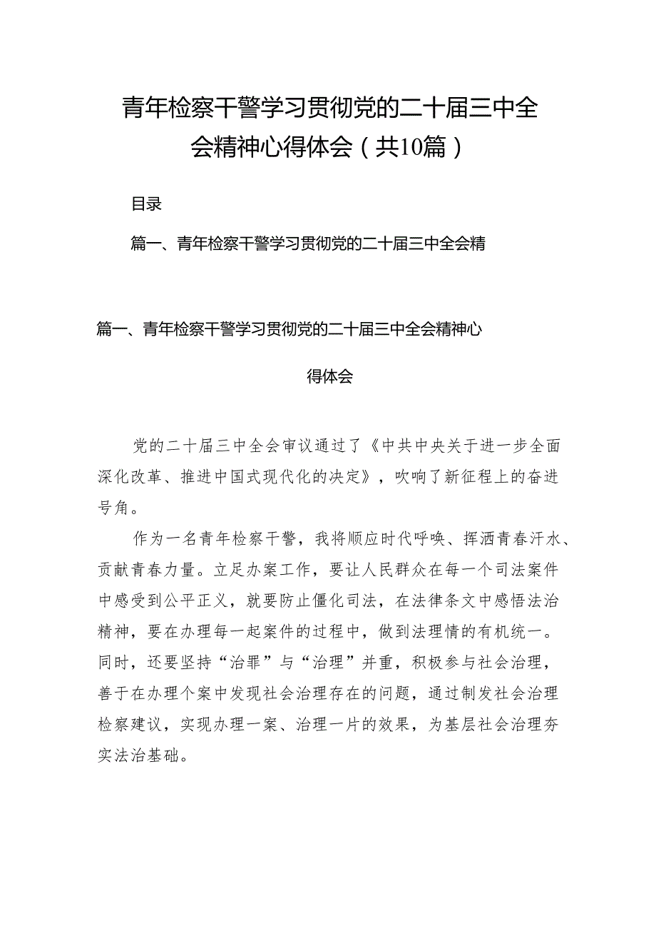 （10篇）青年检察干警学习贯彻党的二十三中全会精神心得体会范文.docx_第1页