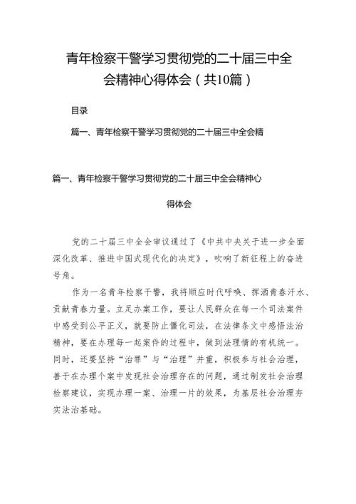 （10篇）青年检察干警学习贯彻党的二十三中全会精神心得体会范文.docx