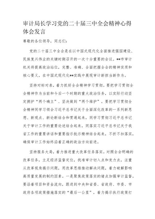 审计局长学习党的二十三中全会精神心得体会发言.docx