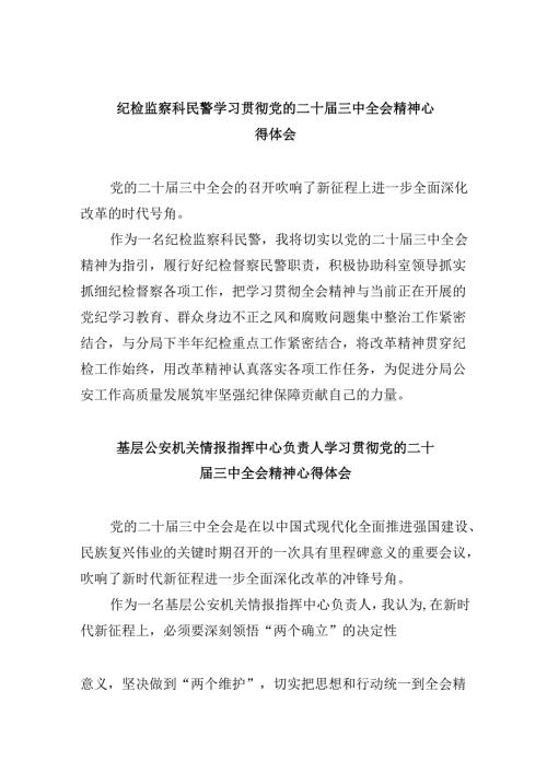 （11篇）纪检监察科民警学习贯彻党的二十三中全会精神心得体会（最新版）.docx