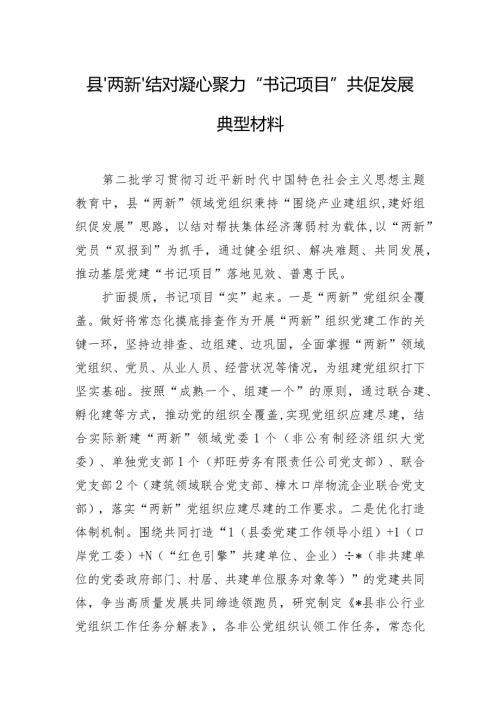 县“两新”结对凝心聚力 “书记项目”共促发展典型材料.docx