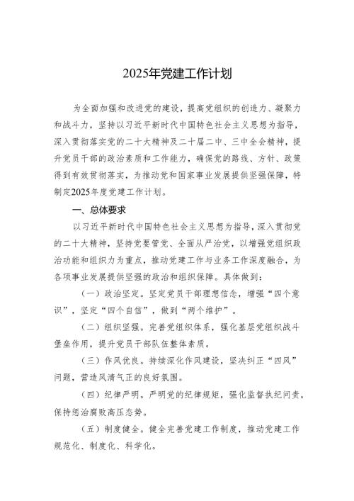 2025年党建工作计划(2).docx