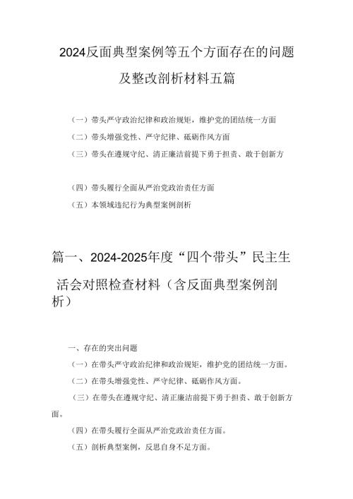 2024反面典型案例等五个方面存在的问题及整改剖析材料五篇.docx
