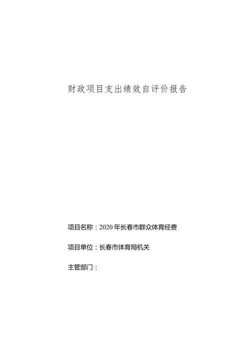 财政项目支出绩效自评价报告.docx