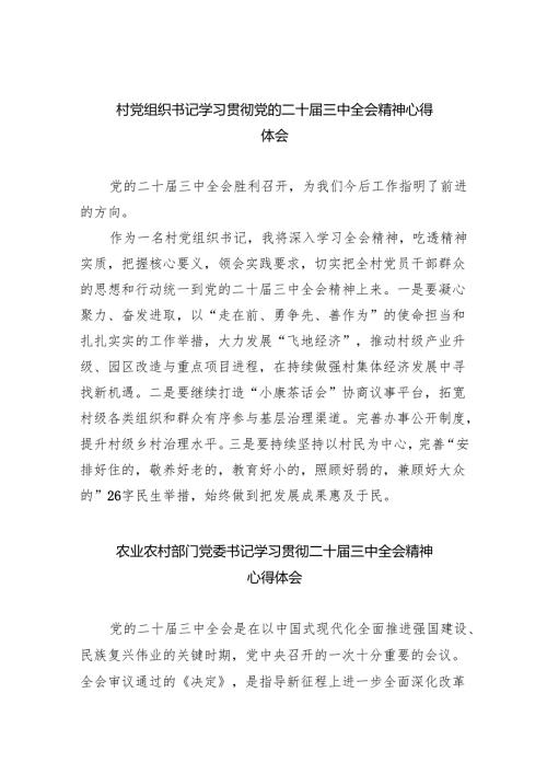 （9篇）村党组织书记学习贯彻党的二十三中全会精神心得体会最新.docx