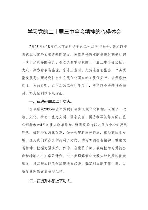 学习贯彻2024年二十三中全会精神心得感悟样本32篇.docx