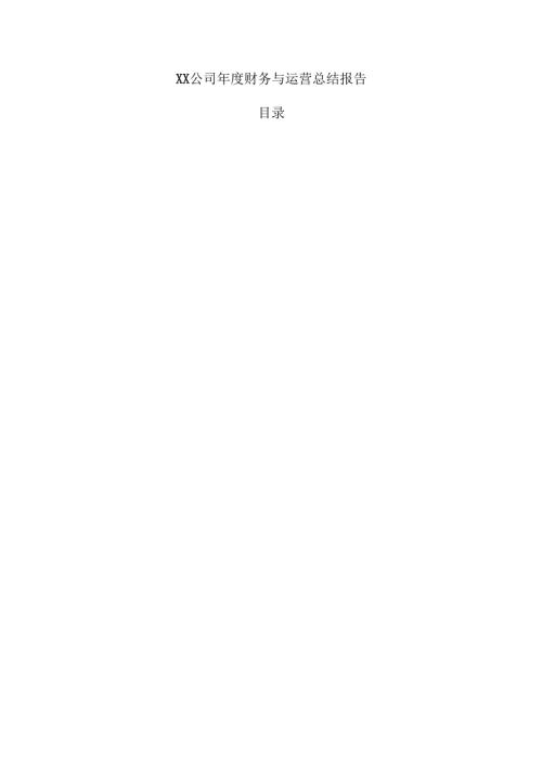 XX公司财务与运营总结报告.docx