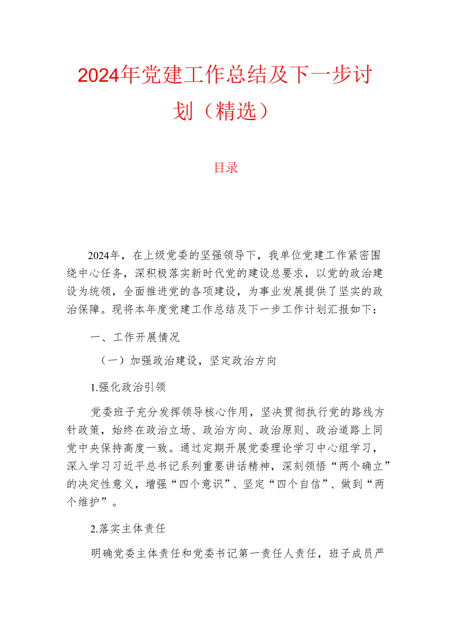 2024 党建工作总结及下一步计划（精选）(1).docx_第1页