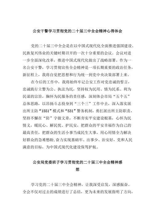 （11篇）公安干警学习贯彻党的二十三中全会精神心得体会集合.docx