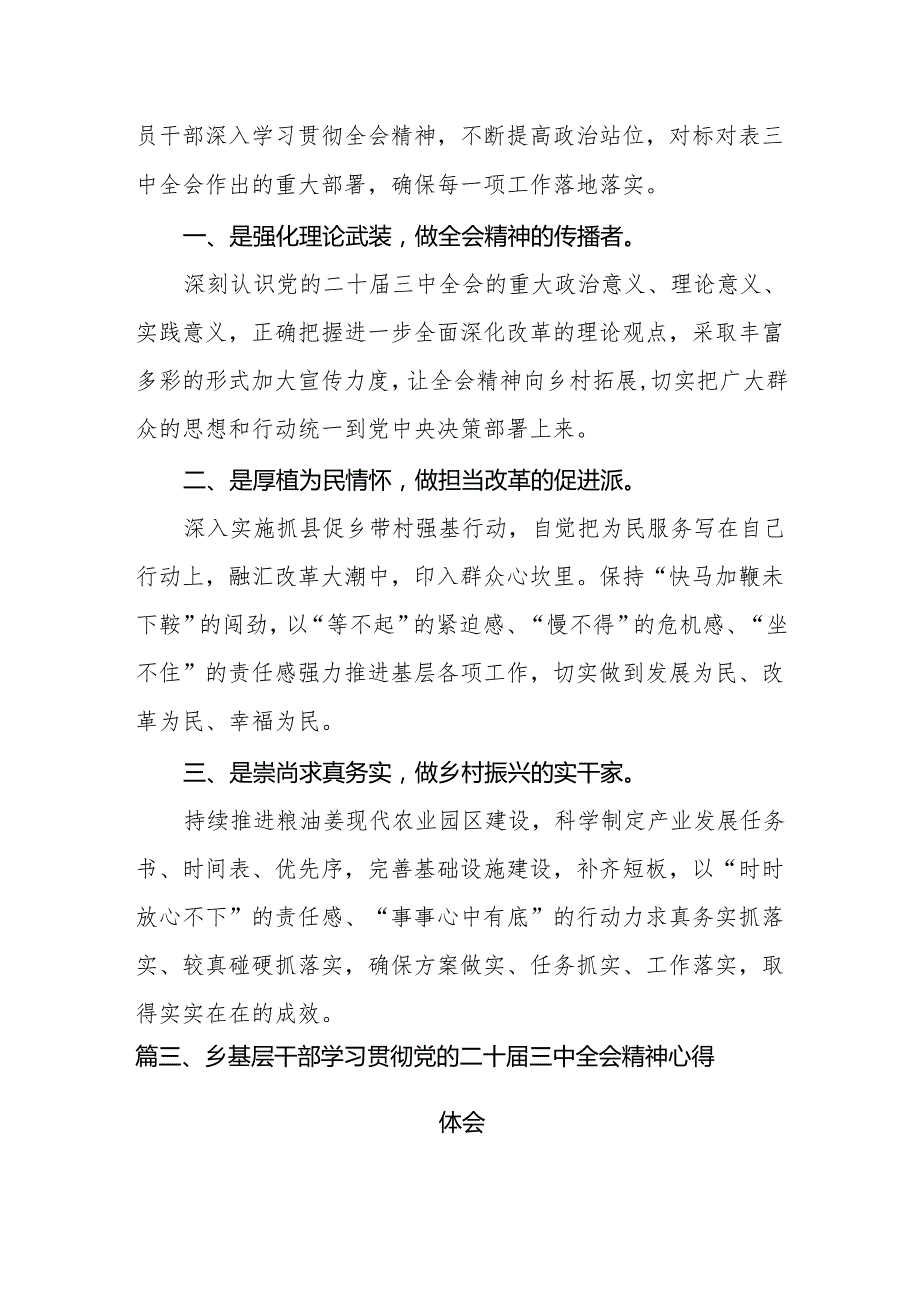 （11篇）镇长学习党的二十三中全会精神心得体会研讨发言范文.docx_第3页