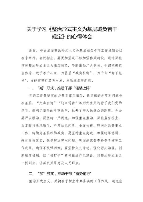 学习贯彻《整治形式主义为基层减负若干规定》心得体会交流发言3篇.docx