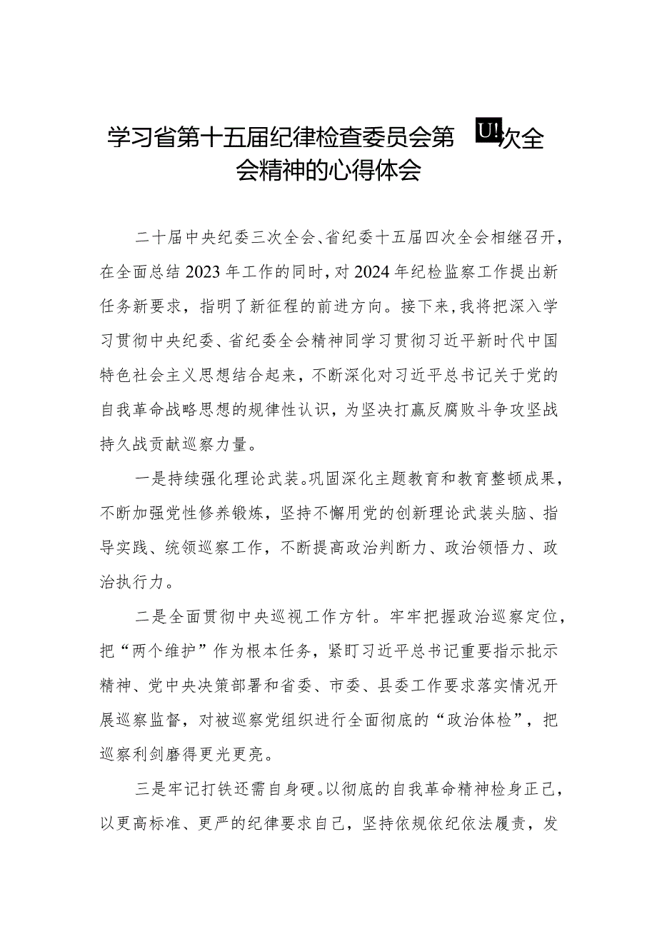 学习省第十五纪律检查委员会第四次全会精神心得体会发言材料十二篇.docx_第2页