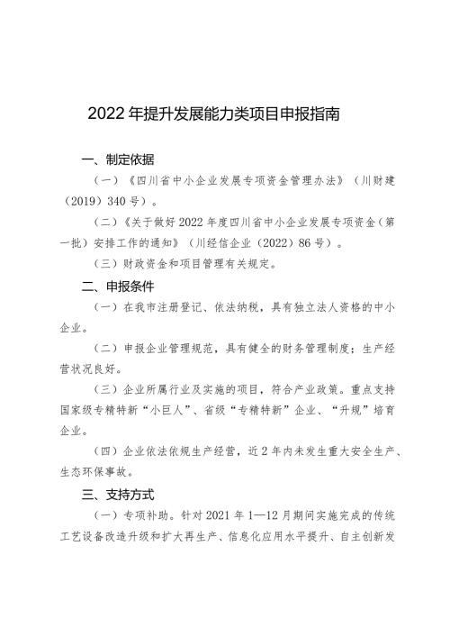 2022年提升发展能力类项目申报指南.docx