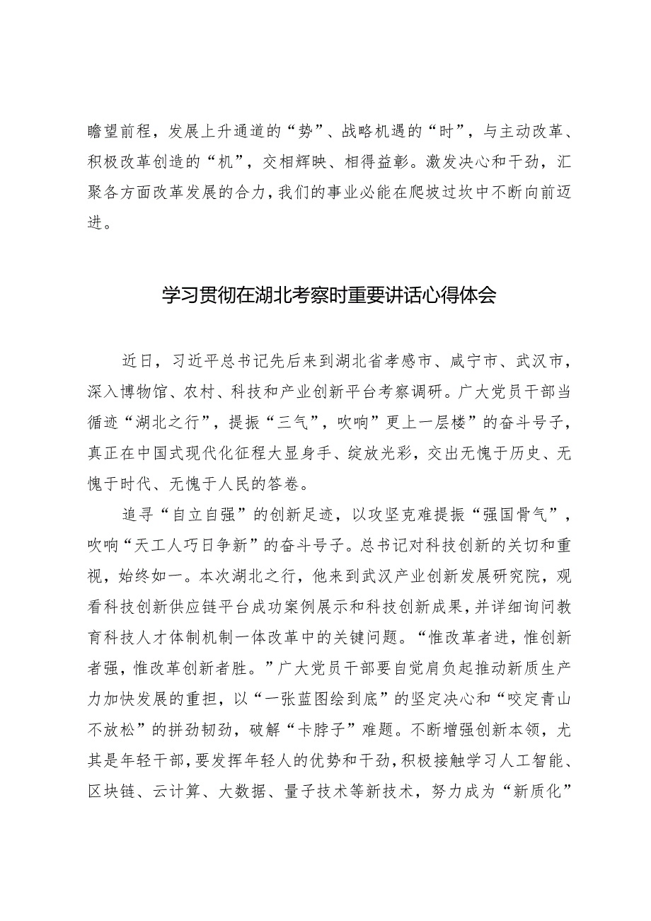 4篇 学习贯彻2024年在湖北考察时重要讲话心得体会.docx_第3页