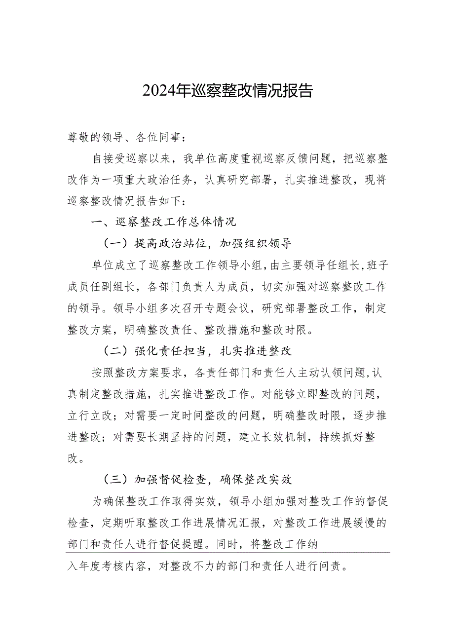 2024年巡察整改情况报告.docx_第1页