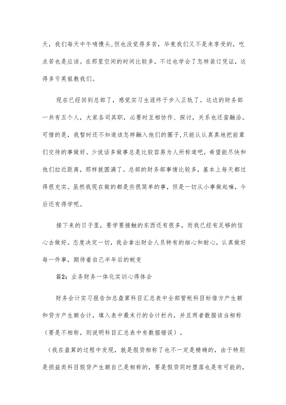 财务业务一体化实训报告总结.docx_第2页