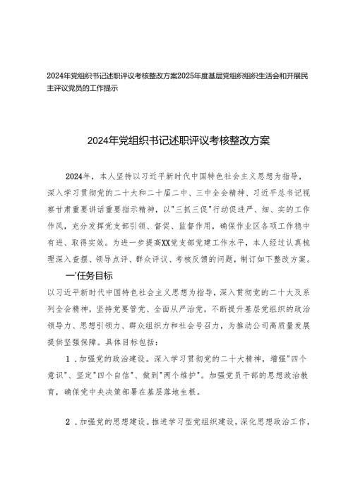 2025年党组织书记述职评议考核整改方案+2025年度基层党组织组织生活会和开展民主评议党员的工作提示.docx