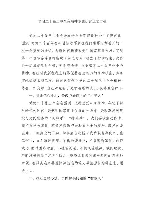 2024年开展《学习二十三中全会精神》专题研讨班发言稿(2).docx