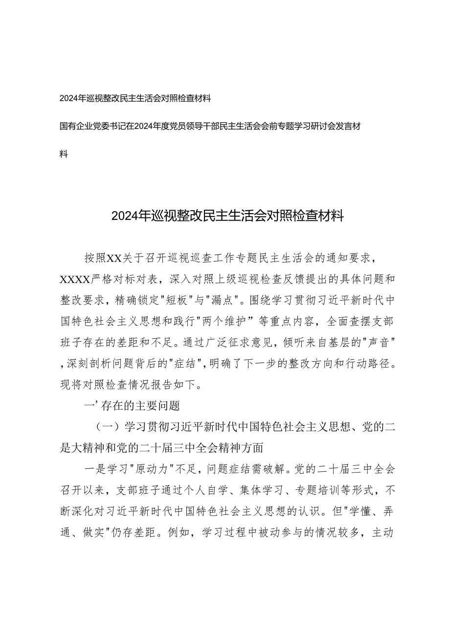 2024年巡视整改民主生活会对照检查材料+国有企业党委书记在2024年度党员领导干部民主生活会会前专题学习研讨会发言材料.docx_第1页