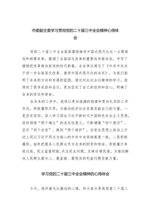 （12篇）市委副主委学习贯彻党的二十三中全会精神心得体会汇编.docx