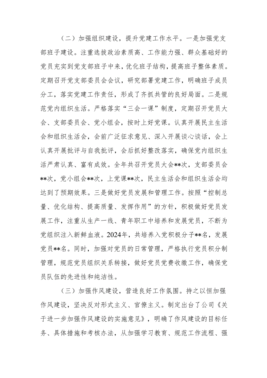 公司党支部书记2024落实党建工作责任制述职报告.docx_第3页