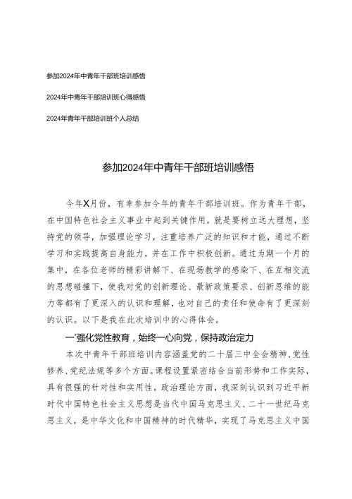 参加20242025年年中青年干部班培训心得体会感悟总结.docx