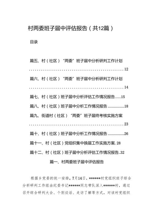 村两委班子中评估报告（共12篇）.docx