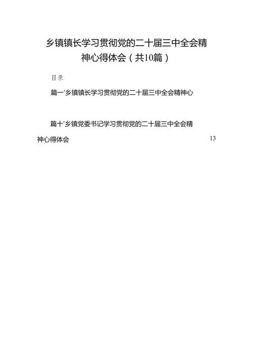 （10篇）乡镇镇长学习贯彻党的二十三中全会精神心得体会范文.docx