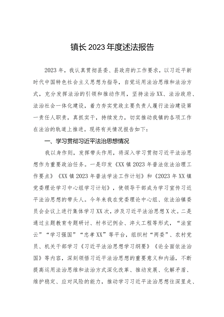 镇长2023述法报告.docx_第1页