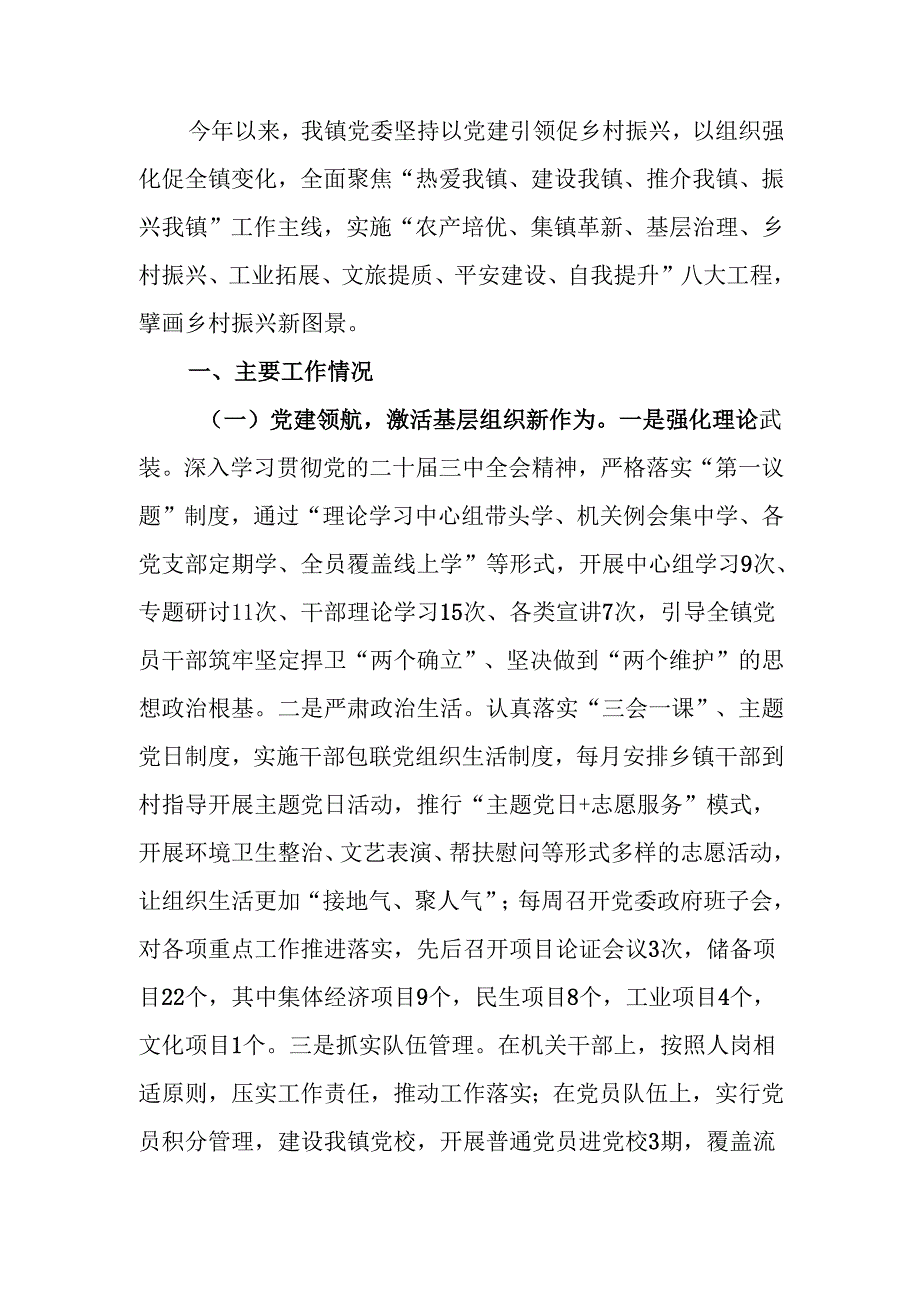 乡镇2024推动乡村全面振兴工作总结.docx_第1页