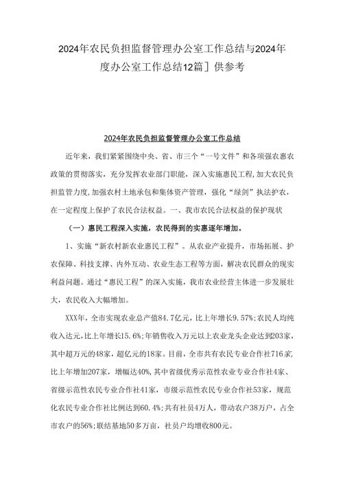 2024年农民负担监督管理办公室工作总结与2024办公室工作总结【2篇】供参考.docx