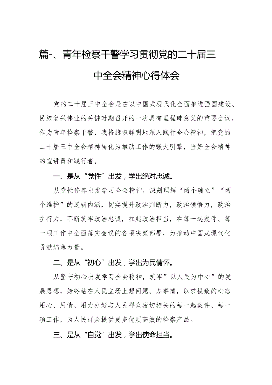 （15篇）青年检察干警学习贯彻党的二十三中全会精神心得体会样本.docx_第2页