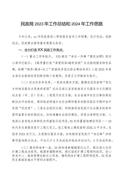 市民政局2023年工作总结和2024年工作思路三篇.docx