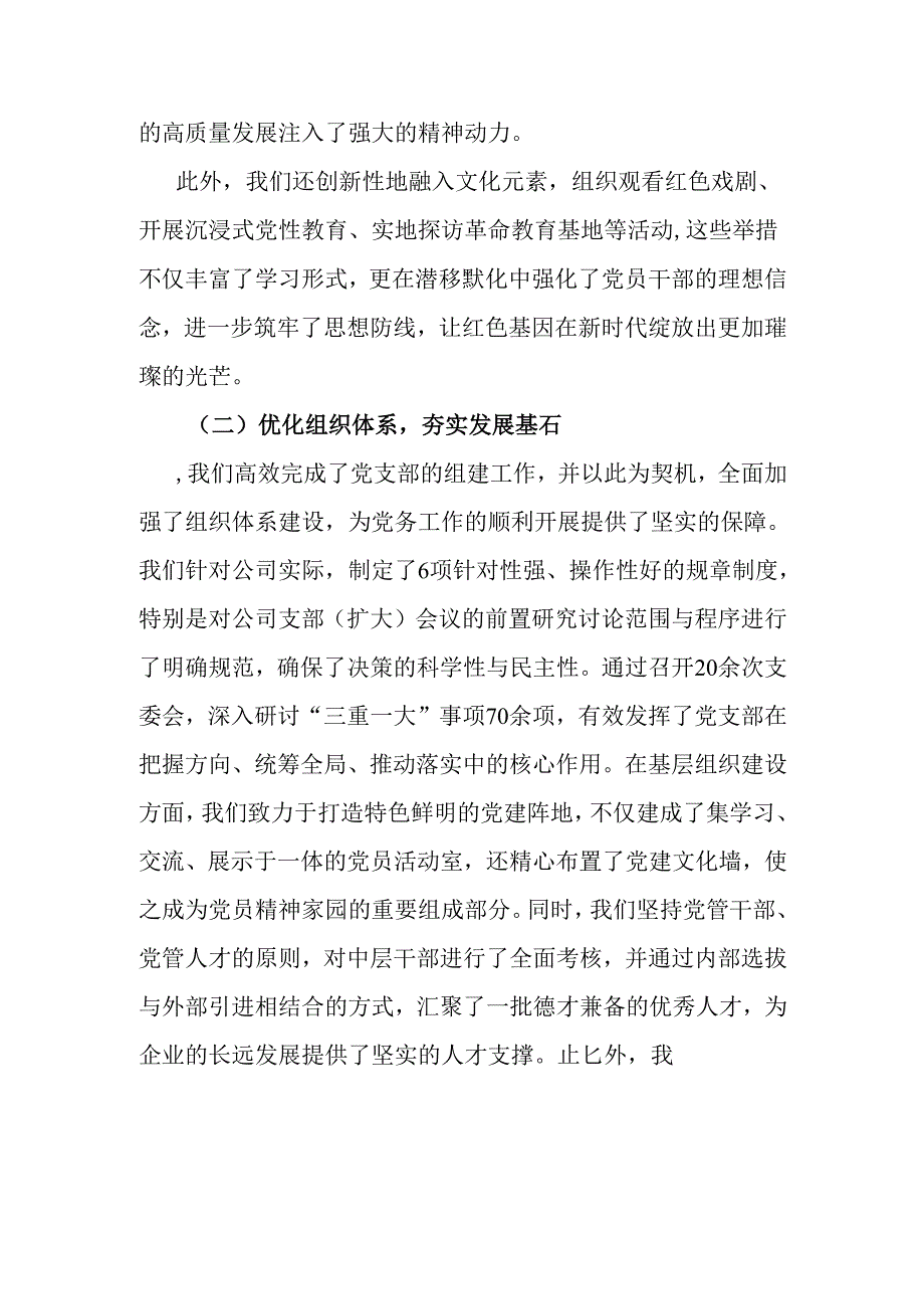 2024党支部党建工作总结及下一步计划（精选）(1).docx_第2页