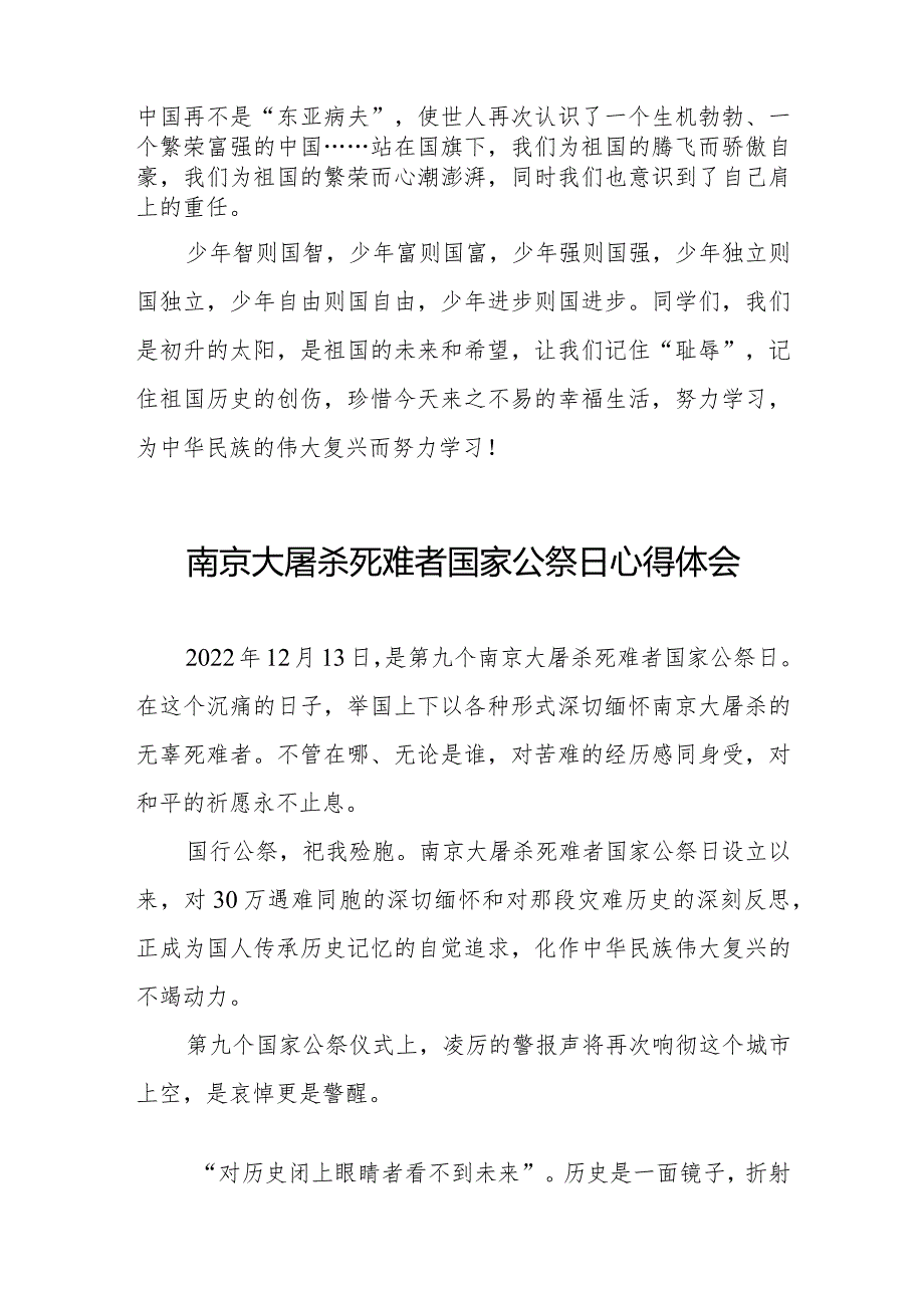 南京大屠杀死难者国家公祭日心得体会范文大全.docx_第2页