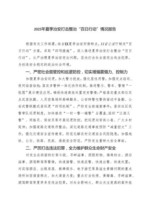 2025年夏季治安打击整治“百日行动”情况报告六篇.docx