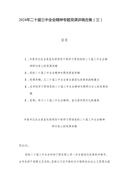 2024年二十三中全会精神专题党课讲稿合集（三）.docx