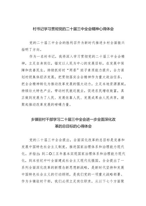 村书记学习贯彻党的二十三中全会精神心得体会5篇（详细版）.docx